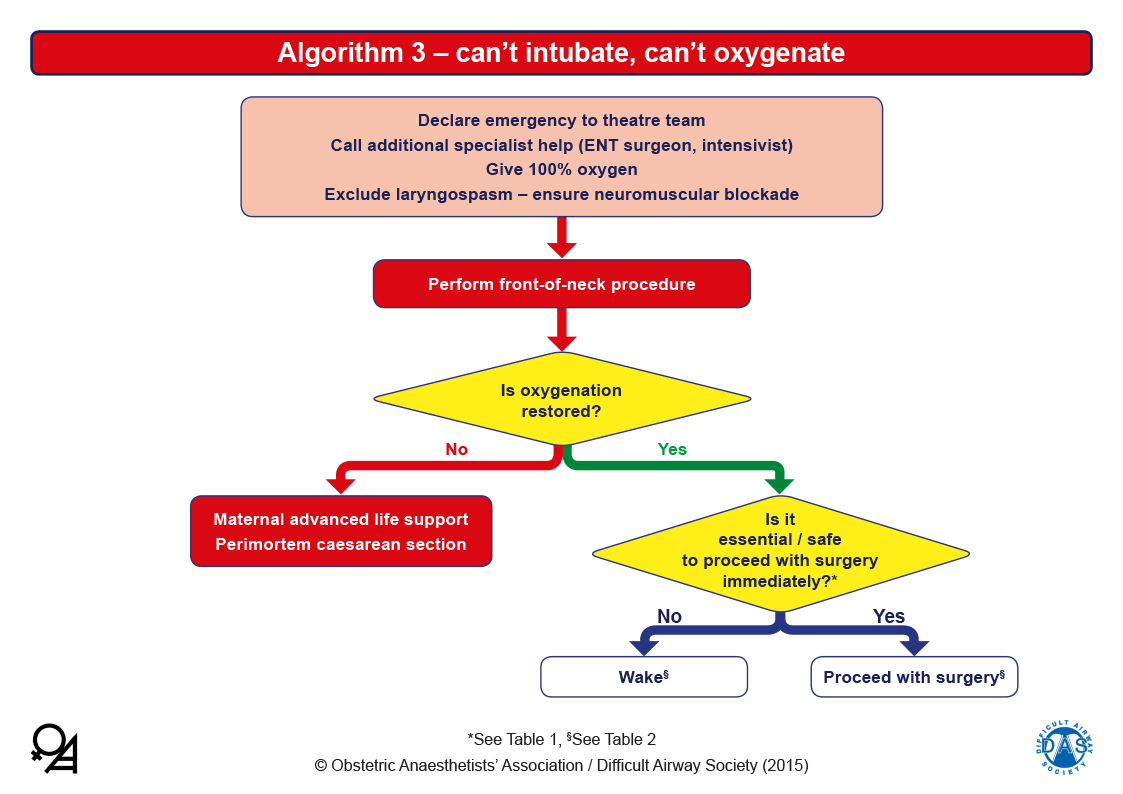 Obstetric Airway Guidelines - Algorithm 3